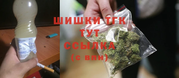 индика Волосово
