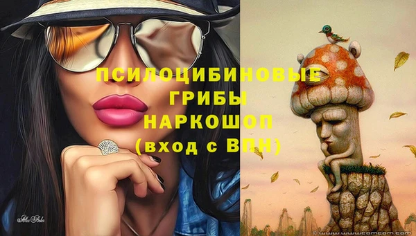 не бодяженный Верхний Тагил