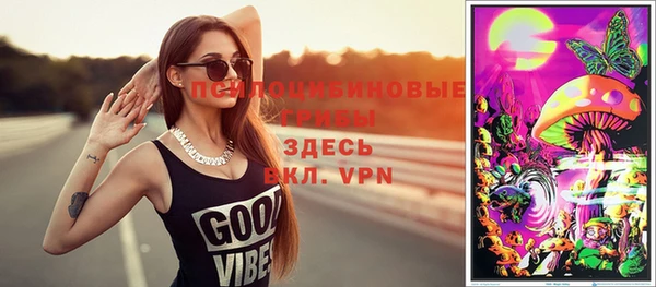индика Волосово