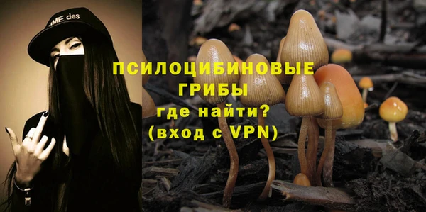 не бодяженный Верхний Тагил